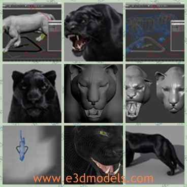3d model the panther - This is a 3d model of the black panther,which is a kind of cat in woods.The model looks horrible and unwrapped.