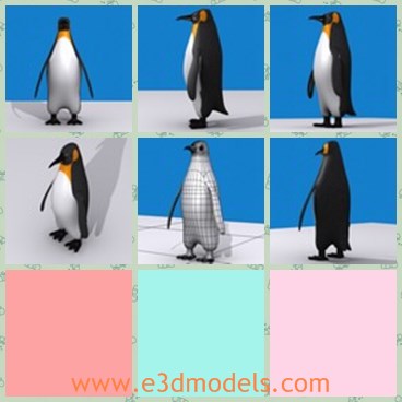 3d model the penguin - This is a 3d model of the penguin,which is the common animal in the South Pole.The animal is cute and lovely.