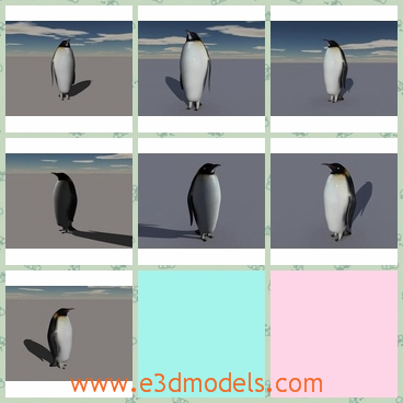 3d model the penguin bird - This is a 3d model of the penguin bird,which is the bird in the polar area.The model is made based on the real base.