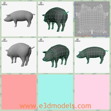 3d model the pig - This is a 3d model of the pig,which is fat and cute.The pig is mainly used for food in Asian countries.