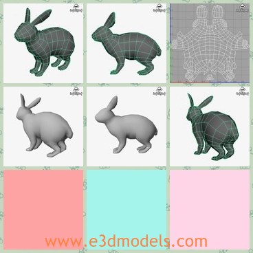 3d model the rabbit - This is a 3d model of the rabbit,which is white and cute.The bunny is made with snow-white furs and cute feet.