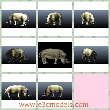 3d model the rhinoceros - This is a 3d model of the rhinocero.Rhinoceros, often abbreviated as rhino, is a group of five extant species of odd-toed ungulates in the family Rhinocerotidae. Two of these species are native to Africa and three to Southern Asia.