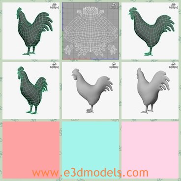 3d model the rooster - This is a 3d model of the rooster,which is a kind of poultry in our backyard.The animal is common and practical,for it can wake people up in the morning every day.