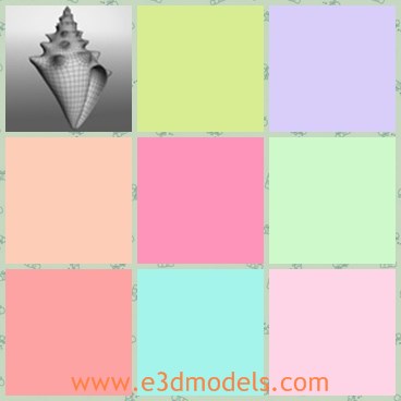 3d model the sea shell - This is a 3d model of the sea shell,which is small and cute.The model is common near the seasides.