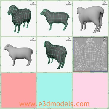 3d model the sheep - This is a 3d model of the sheep,which is big and fat.The sheep is made with heavy furs on the body.