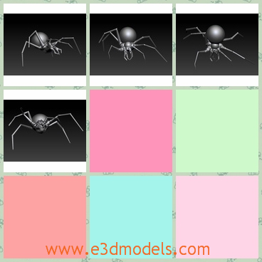 3d model the spider - This is a 3d model of the insect--the spider,which is the animal with several legs and has a big stomache.