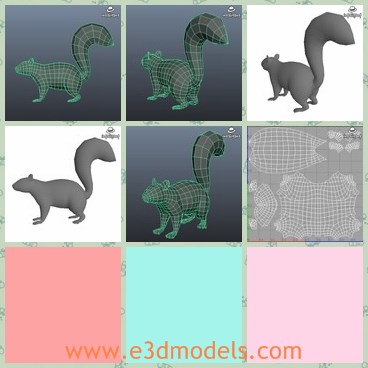 3d model the squirrel - This is a 3d model of the squirrel,which is small and made with furs' tail.The model is similar to the real ones.