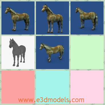 3d model the stallion horse - This is a 3d model of the stallion horse,which is a kind of adult horse.The horse is strong and big.