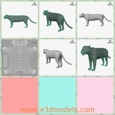 3d model the tiger - This is a 3dmodel of the tiger,which is the wield animal in the woods.The animal runs fast and very horrible.