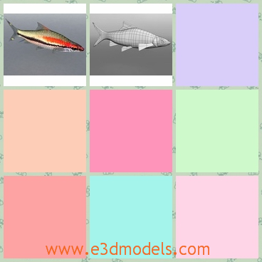 3d model the tropical fish - This is a 3d model of the tropical fish,which is long and dangerous in the sea.The shark is the boss in the sea.