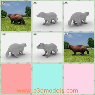 3d model the wolverine - This is a 3d model of the wolverine,which is a kind of animal in nature.The model is large and made with good quality.
