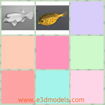 3d model the yellow fish - This is a 3d model of the yellow fish,which is made according to the real materials.The model is special and modern.
