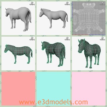 3d model the zebra - This is a 3d model of the zebra,which is large and looks like the horses.The model is fat and common.