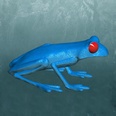 3d model a blue frog with red eyes