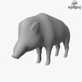 3d model the boar