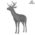 3d model the deer with horns