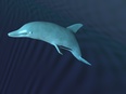 3d model the dolphin in the ocean