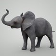 3d model the elephant