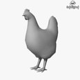 3d model the hen