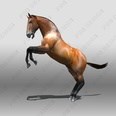 3d model the horse