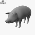3d model the pig