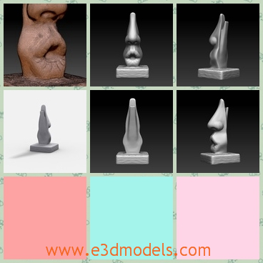 3d model the human nose - This is a 3d model of the human nose,which is large and similar to the real one.The sculpture is made based on the real one.
