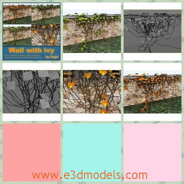 3d model the stone with - This is a 3d model of the stone wall with ivy,which is special and looks pretty and charming.