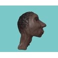 3d model the african head