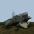 3d model the rock and the shrub