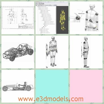 3d model the anatomy of humans - This is a 3d model of the anatomy of humans,which includes the male and the female.Pdf file showing mannequin dimensions drawing provided.