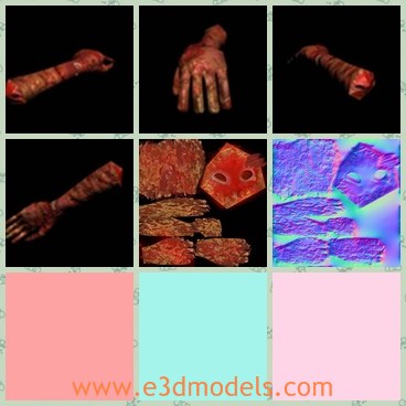 3d model the arm and the hand - This is a 3d model of the arm and the hand,which consists of 163 vertices and 172 polygons for the 3ds Max model.The model is the part of the body and it is made of special materials for saving it long.
