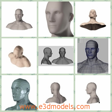 3d model the bust of a man - THis is a 3d model of the bust of a man,who has just the head and upper shoulders.Clean, edge-looped geometry makes it suitable for animation or use as a base mesh for any character.