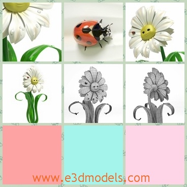 3d model the cartoon daisy - This is a 3d model about the cartoon daisy,which is cute and looks like real.The model looks like the sunflowers.