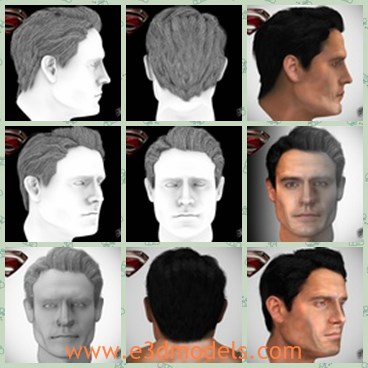 3d model the head of a man - This is a 3d model of the head of a man,who has heavy hair.The model looks strong and healthy.