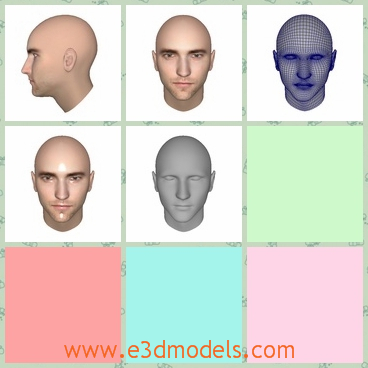 3d model the head of a man - This is a 3d model of the head of a man,which is hairless and the model is the figure from a movie.