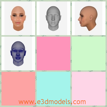 3d model the head of a woman - This is a 3d model of the head of a woman,which is hairless and the model the type of hungers.