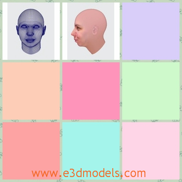 3d model the head of a woman - This is a 3d model of the head of a woman,which is hairless and popular.