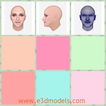 3d model the head of Stewart - This is a 3d model of the head of Stewart,who is the character of the movie Twilight.The model has no hair on his head.