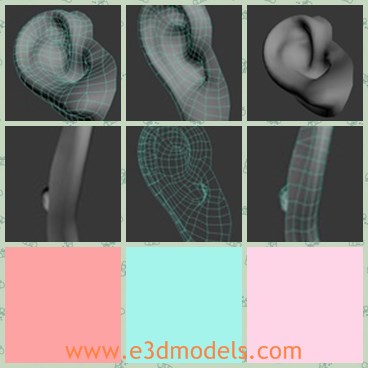 3d model the human ear - This is a 3d model of the human ear,which can be easily manipulated to a different ear shape and added to an existing human head.
