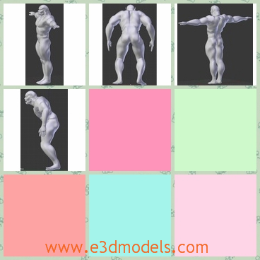 3d model the male who is naked - This is a 3d model of the male who is naked,who is strong and fastastic.The man has many muscles.