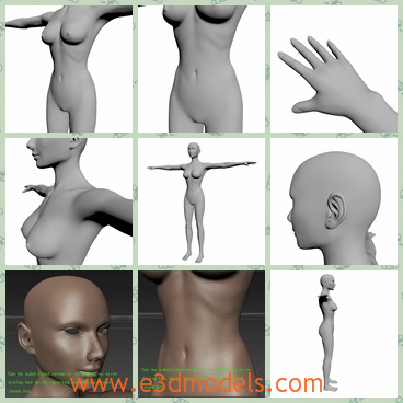 3d model the naked body of a female - This is a 3d model of the naked body of a female,which is very detailed.The model is pretty fine and sexy.