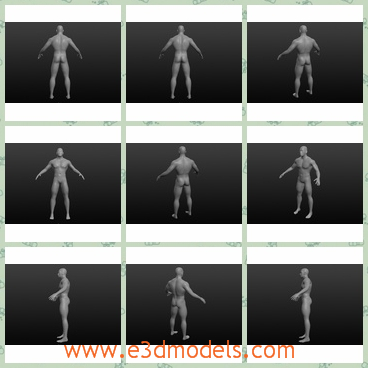 3d model the naked male - This is a 3d model of the naked male,which is the game character.The model is strong and tall.He is hairless and has a high polygon count.