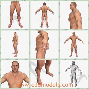 3d model the naked man - This is a 3d model of the naked man,who is strong and detailed.The man has perfect edge-loops based topology with rational polygons count.