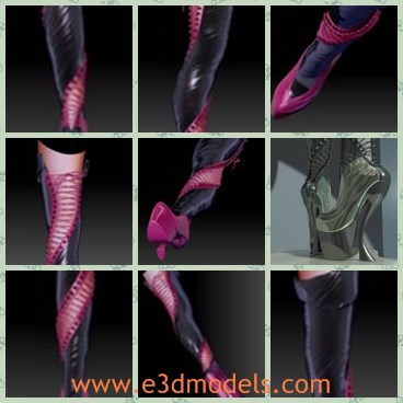 3d model the sexy legs - This is a 3d model of the sexy legs,which is long and sexy.The model has lace on it and the footwear is the popular in the market.