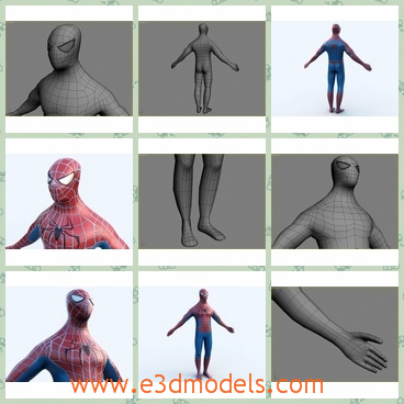 3d model the spiderman - This is a 3d model about the spiderman,which is the comic character in the movie.The model is strong and popular for a few years.