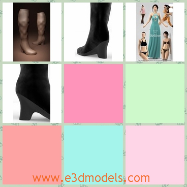 3d models of female boots - These 3d models are about black female boots. These boots are very long and they have soft black surfaces and a little high-heels.