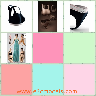 3d models of female sport bra and panties - This 3d model is about some female sports bra and panties. All the underwear are of fine materials and they have black and blue colors.