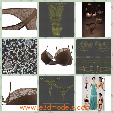 3d models of hot Lingerie underwear - These are 3d models of some hot Lingerie underwear. There is a sexy bra and a women briefs made of half transperant lace.