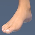 3d model the female foot