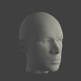 3d model the human head